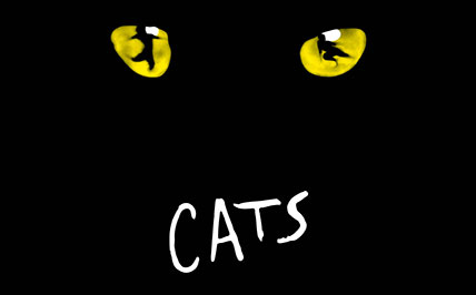 cats-news.jpg