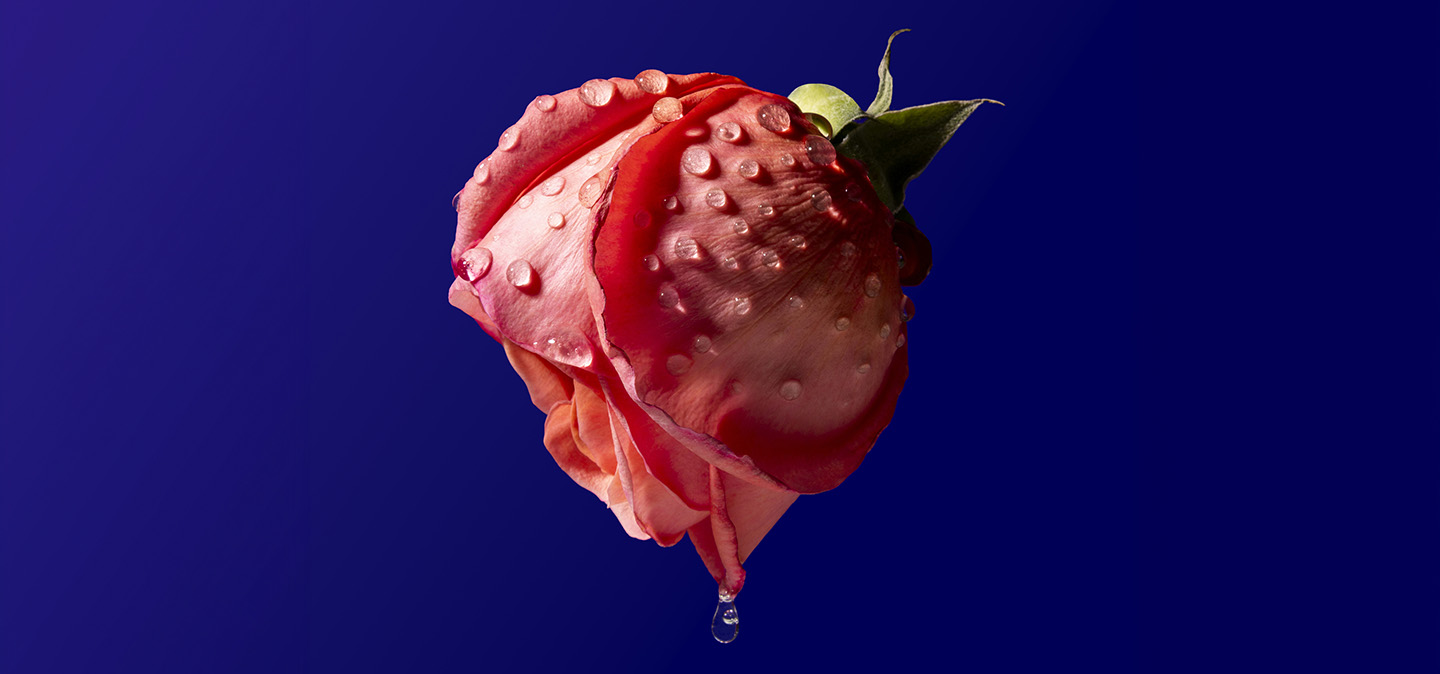 ROSENKAVALIER_header-front.jpg