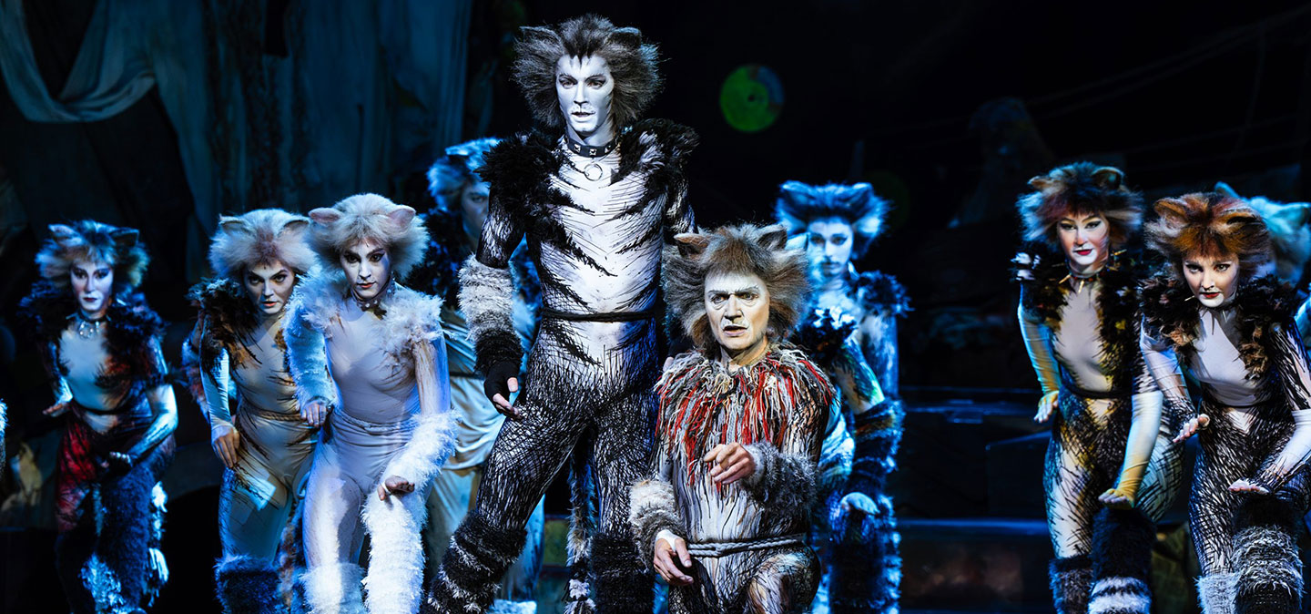 cats-header-front_2.jpg