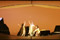 Das Rheingold Oskar Hillebrandt, Mari Moriya, Gotho Griesmeier, Valentina Kutzarova &copy; Karl und Monika Forster