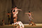 Fall / Orbo Novo © Philip Brunnader