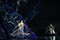 Papageno und die Zauberflöte © Barbara Pálffy