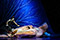 Papageno und die Zauberflöte © Barbara Pálffy