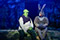 Shrek - Das Musical © Barbara Pálffy