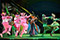 Shrek - Das Musical © Barbara Pálffy