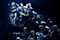 Katja Kabanowa &copy; Reinhard Winkler