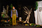 Die Reise zum Mittelpunkt des Waldes &copy; Petra Moser