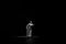Vanishings  &copy; Didier Contant