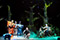 Terra Nova oder Das wei&szlig;e Leben Matthäus Schmidlechner, Sven Hjörleifsson, Michael Wagner, Marius Mocan, Mari Moriya, Tanzensemble &copy; Ursula Kaufmann
