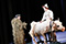 Into The Woods - Ab in den Wald Günter Rainer, Konstantin Zander &copy; Barbara P&aacute;lffy