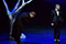 Familienfeste (1 + 2 + 3) - Viktoria und ihr Husar Klaus Christian Schreiber, Stefan Matousch &copy; Joseph Gallus Rittenberg