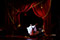 Grand Hotel  Daniela Dett &copy; Reinhard Winkler