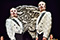 Zirkus Pirandello Barbara Novotny, Thomas Bammer, Bj&ouml;rn B&uuml;chner, Gunda Schanderer &copy; Patrick Pfeiffer