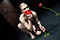 Das, was bleibt Kayla May Corbin &copy; Tom Mesic