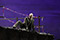 La Damnation de Faust Charles Workman &copy; Reinhard Winkler