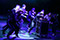 Forever Young  Gernot Romic, Ensemble &copy; Barbara Palffy