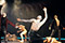 Tod und das M&auml;dchen Valerio Iurato, Yu-Teng Huang, Urko Fernandez Marzana, Edward Nunes &copy; Tom Mesic