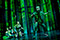 Peter Pan  Rebecca Halm, Alja Ferjan, Judith Mahler, Ludwig Frederick Allan Brix &copy; Hermann Posch