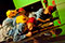 Wunder des Alltags Anna Katharina Fleck, Steven Closs, Karina Pele &copy; Hermann Posch