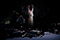 Elektra Miina Liisa Värelä, Chor Landestheater Linz &copy; Reinhard Winkler