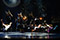 Ein Amerikaner in Paris  Gernot Romic, Ensemble &copy; Barbara P&aacute;lffy