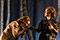 Der Wald  Julian Sigl, Katharina Hofmann &copy; Petra Moser