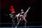 Carmina Burana  &copy; Sakher Almonem