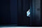 Il Trovatore  &copy; Reinhard Winkler