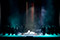 Il Trovatore  &copy; Reinhard Winkler