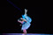 Cinderella &copy; Sakher Almonem