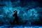 Winterreise Martin Achrainer &copy; Reinhard Winkler