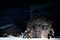 Unter dem Gletscher  Michael Wagner, Anna Ala&#x300;s i Jove&#x301; © Reinhard Winkler